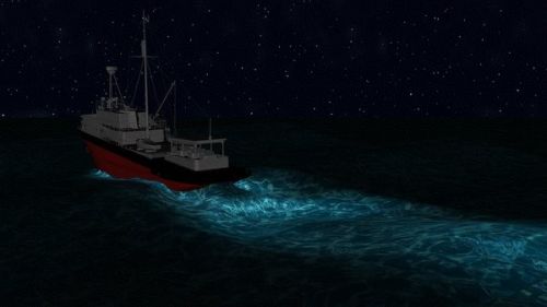 Bioluminescence at sea