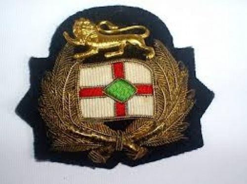 COMPANY CAP BADGE